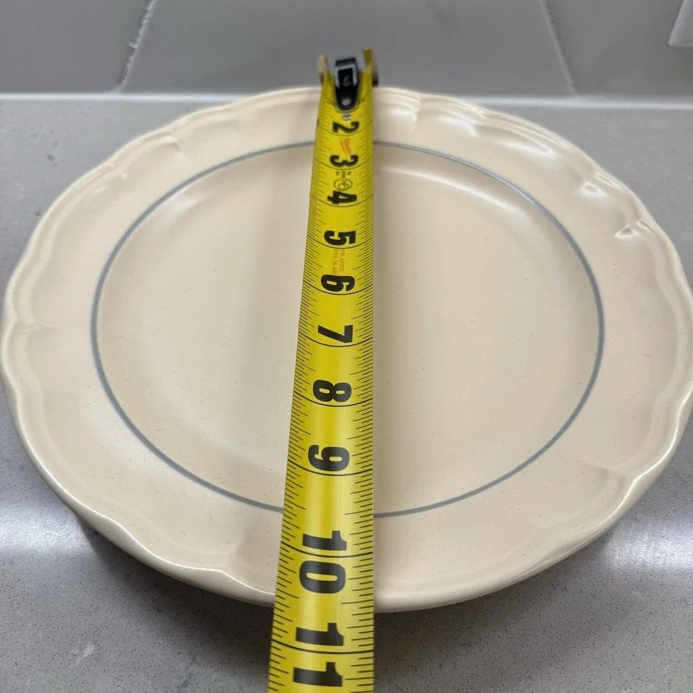 PFALTZGRAFF REMEMBRANCE Set Of 16, 4 Each Dinner, Salad, Saucer Plates, Tea Cups